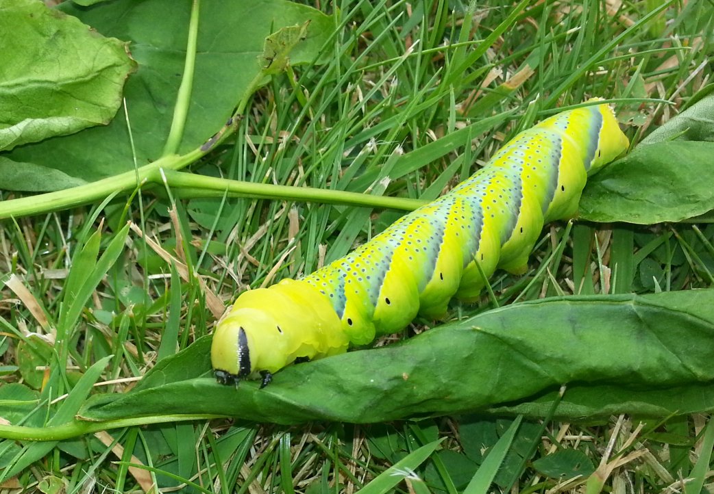 20130807_105706.jpg 20130807_105706.jpg